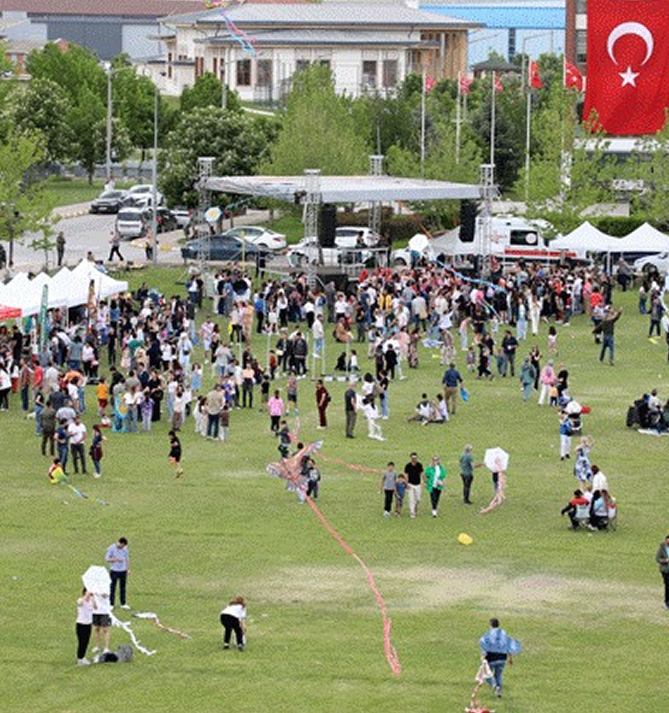 EESTEC Fest